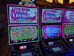 9897.com bet